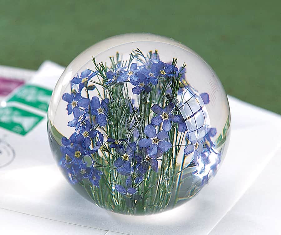 Forget-Me-Not Paperweight