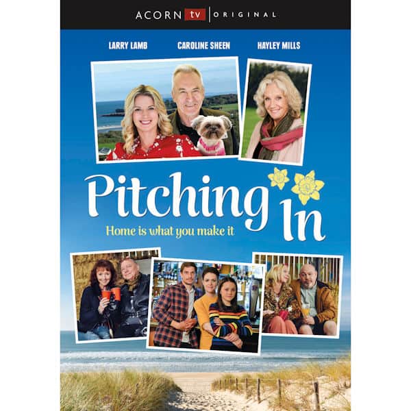 Pitching In DVD