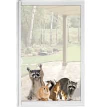 Alternate image Raccoon and Friends Window Cling
