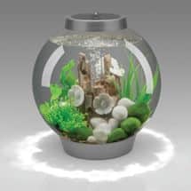 Alternate image BiOrb Aquarium Kit - 4 Gallon