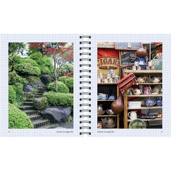 Product image for Find the Cat Challenge Spiral-Bound Book