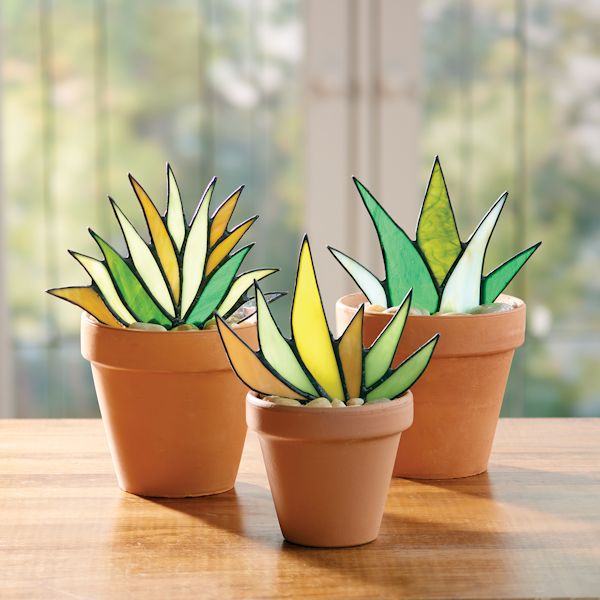Product image for Trio of Stained Glass Succulents