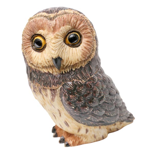 Owl Pot Bellys&reg; Boxes - Short Ear Owl