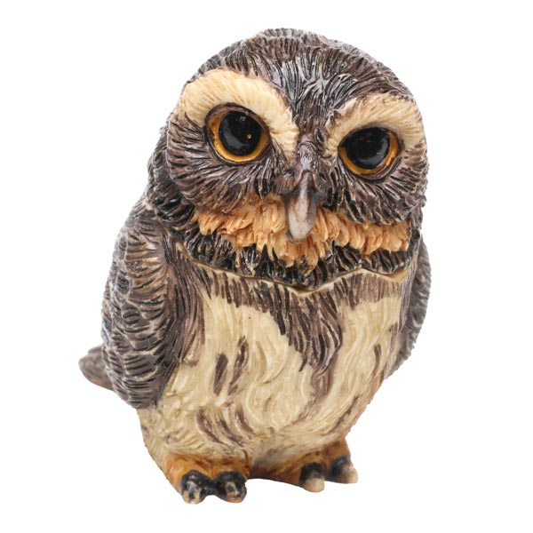 Owl Pot Bellys&reg; Boxes - Pygmy Owl