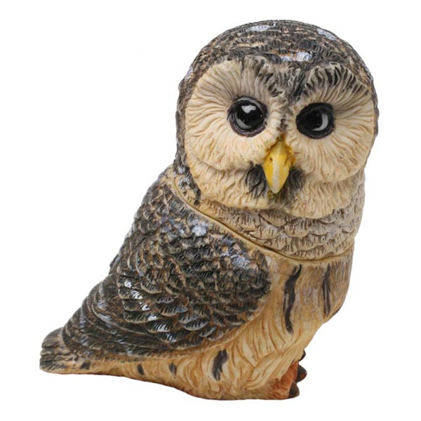 Owl Pot Bellys&reg; Boxes - Barred Owl