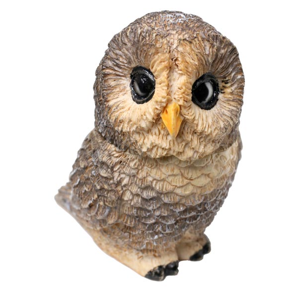Owl Pot Bellys&reg; Boxes - Spotted Owl