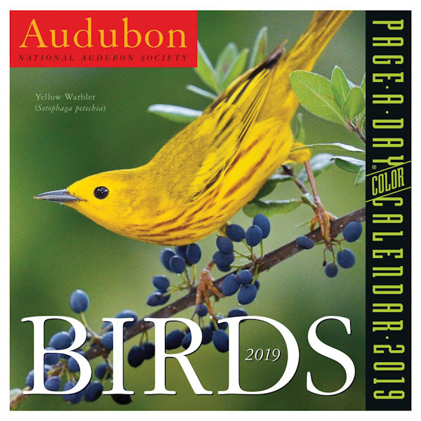 Audubon Birds 2019 Page-ADay Calendar