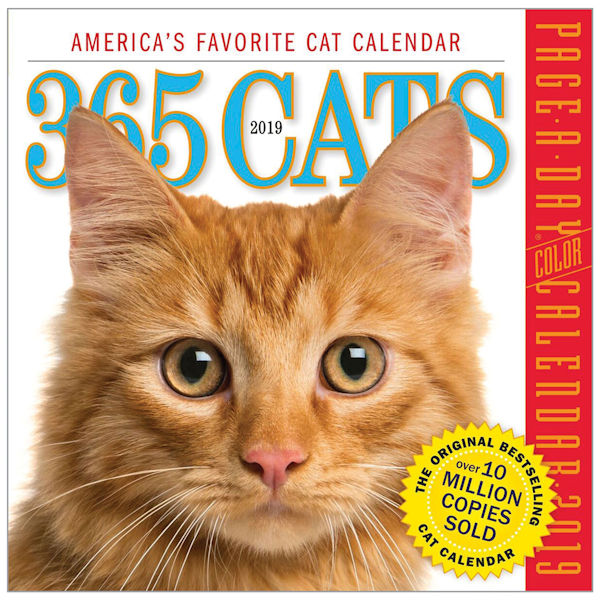 365 Cats 2019 Page-A-Day Calendars