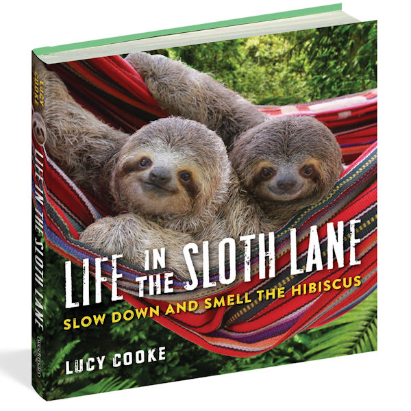 Life in the Sloth Lane Hardcover
