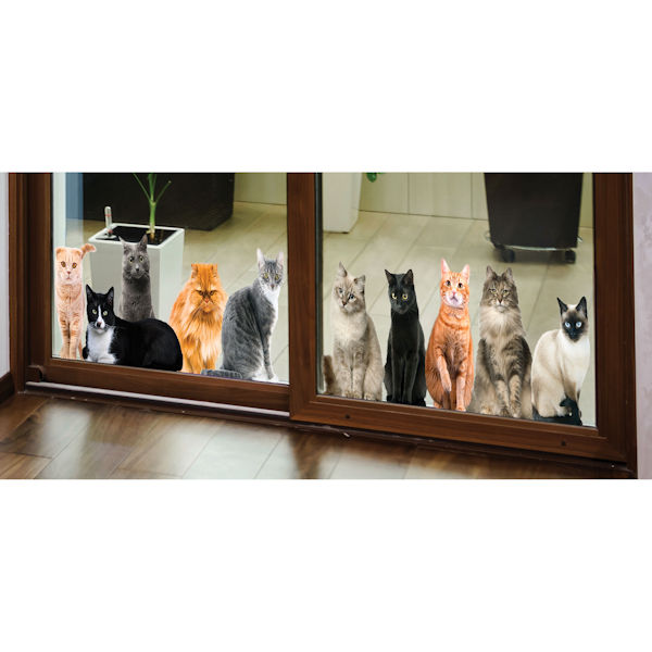 Cat House Window/Door Clings: All Sitting