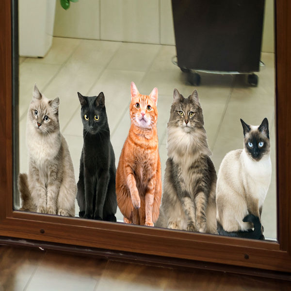 Cat House Window/Door Clings: All Sitting