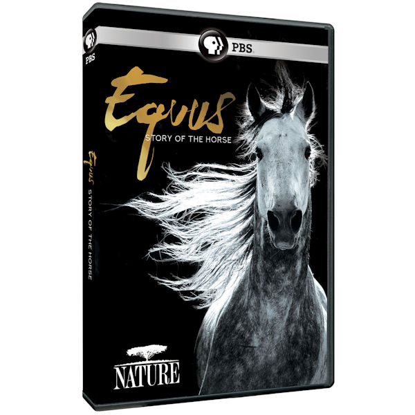 Product image for NATURE: Equus: Story of the Horse DVD