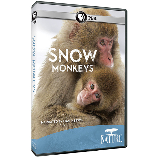 Product image for NATURE: Snow Monkeys DVD