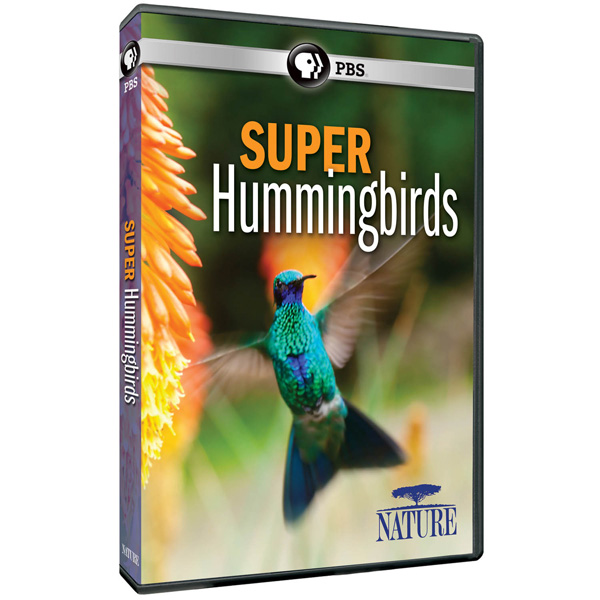 Product image for NATURE: Super Hummingbirds