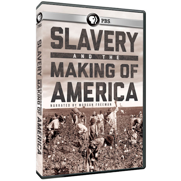 Product image for Slavery and the Making of America DVD