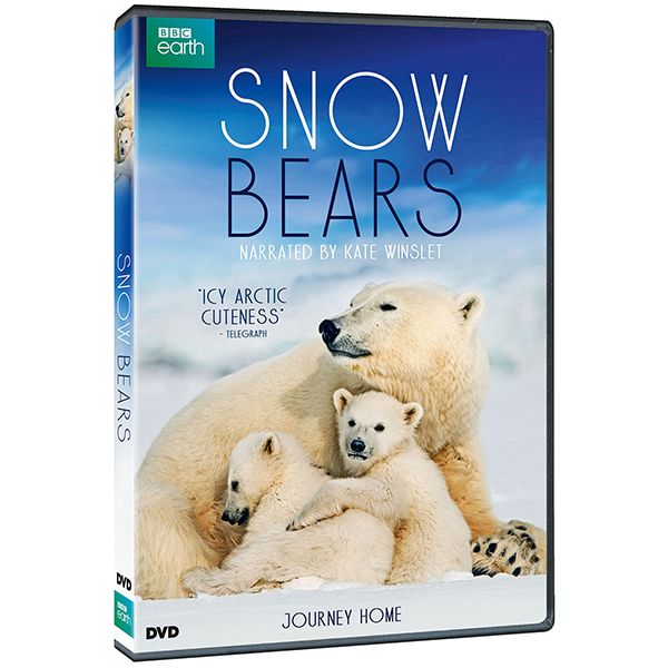NATURE: Snow Bears DVD