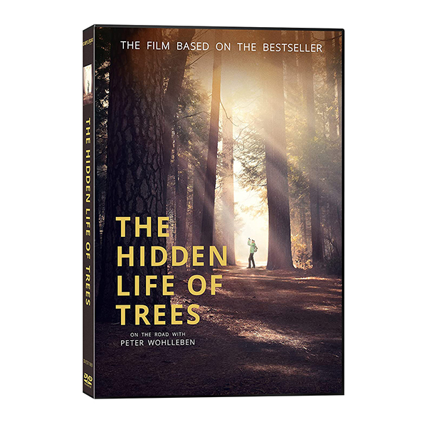 Product image for The Hidden Life of Trees DVD & Blu-ray