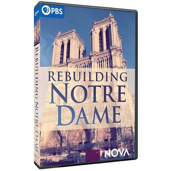 Product image for Rebuilding Notre Dame