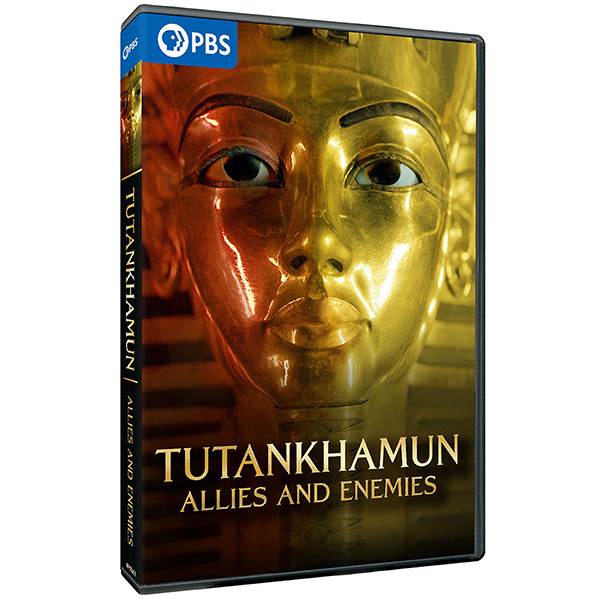 Product image for Tutankhamun: Allies and Enemies DVD