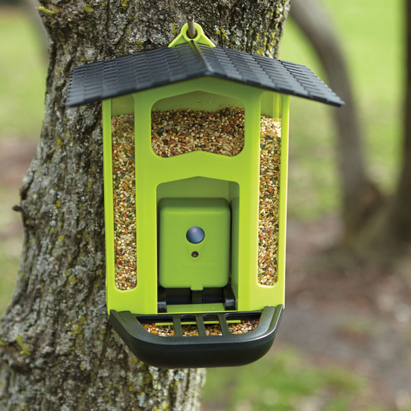 Bird Feeder with 1.5MP Motion Activated Camera