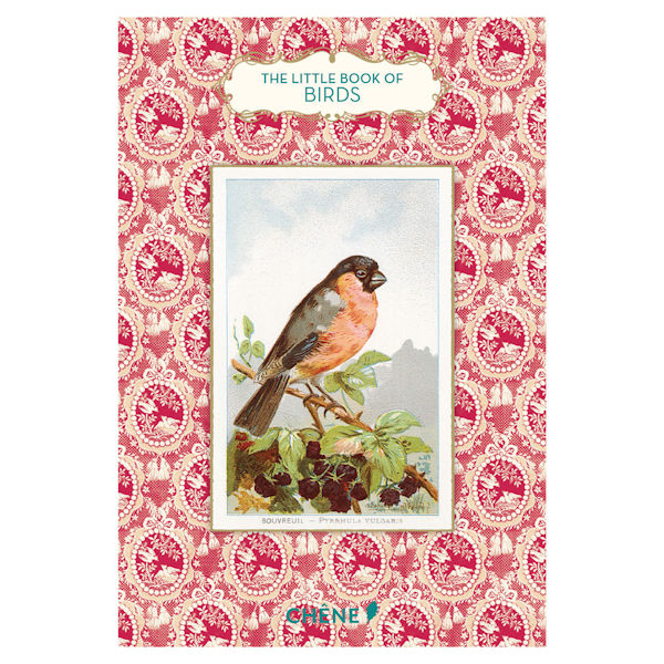 Little Books Collection: Birds - Hardcover