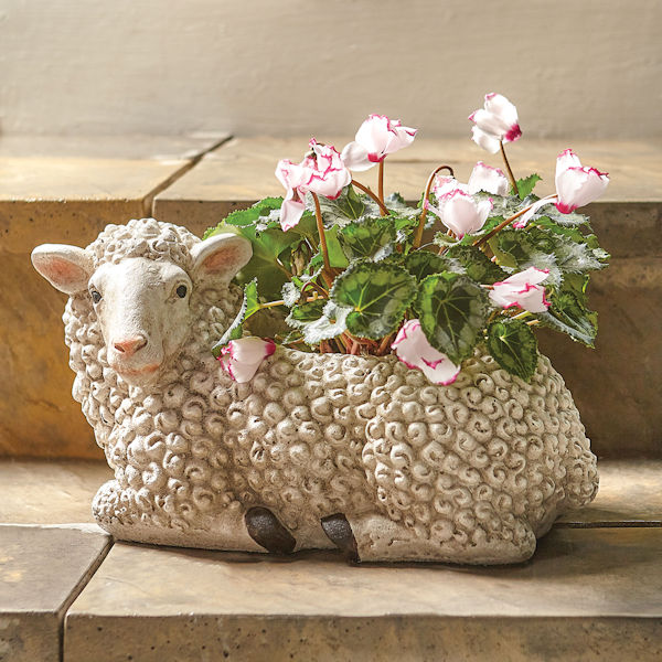 Woolly Sheep Planter