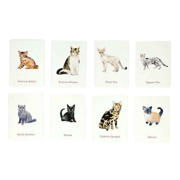 Cats and Kittens: A Memory Game