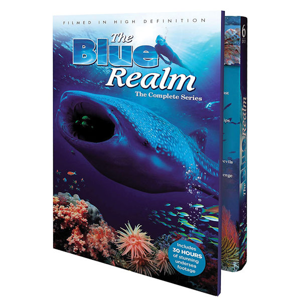 The Blue Realm: The Complete Series DVD