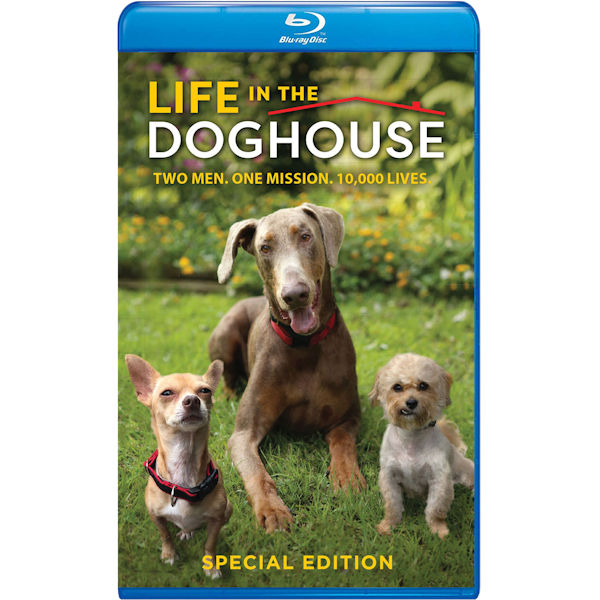 Life in the Doghouse DVD & Blu-ray