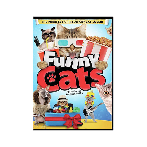 Funny Cats DVD