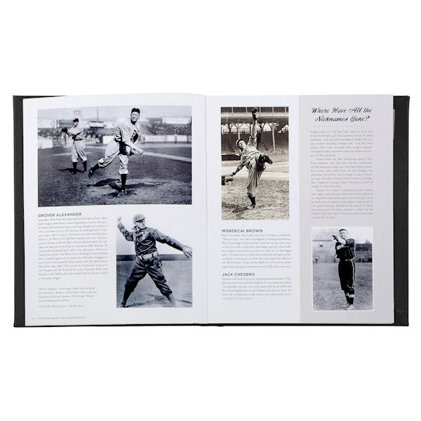 Product image for Leather-Bound National Baseball Hall of Fame Collection Hardcover Book