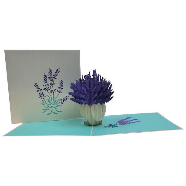 Product image for Wondrous Pop-Up Cards