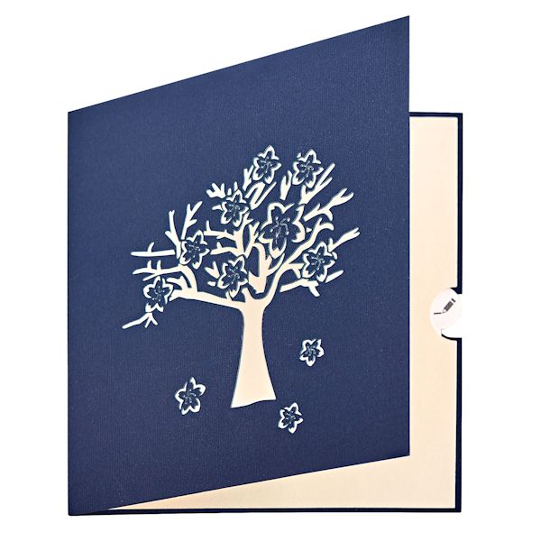 Product image for Wondrous Pop-Up Cards