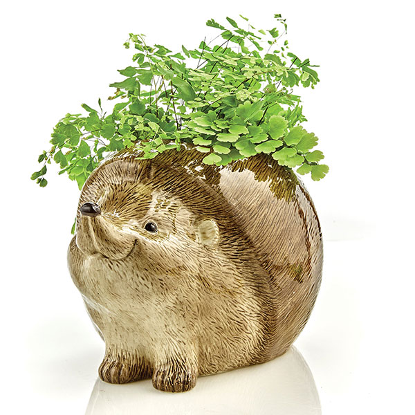 Product image for Hedgehog Planter