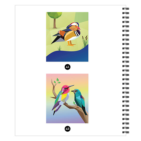 Jumbo Sticker by Number Book - Birds