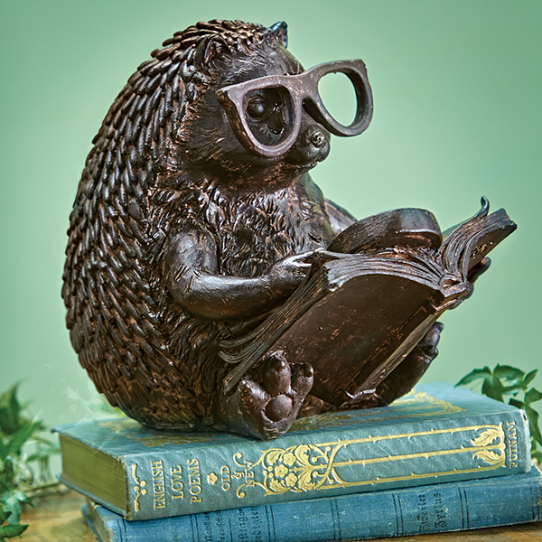 Product image for Reading Hedgehog