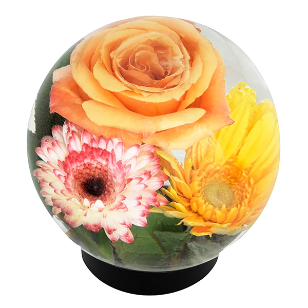 Product image for Flower Blossom Aquarium