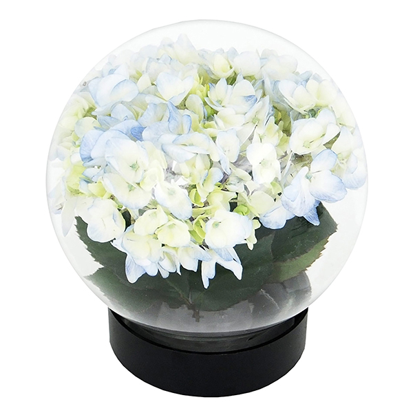Product image for Flower Blossom Aquarium