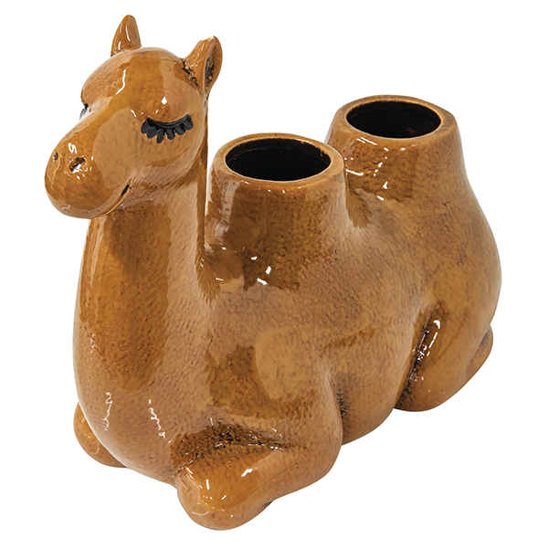 Product image for Camel Planter