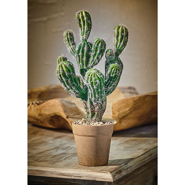 Product image for Faux Cactus