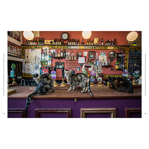 Great Pubs of England