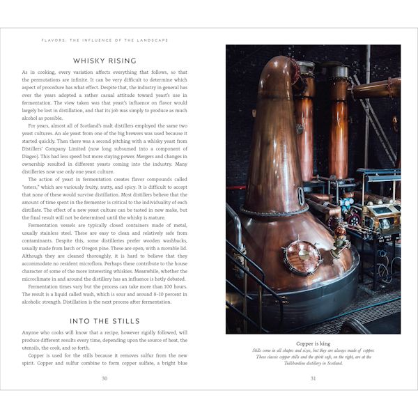 Product image for Complete Guide to Single Malt Scotch