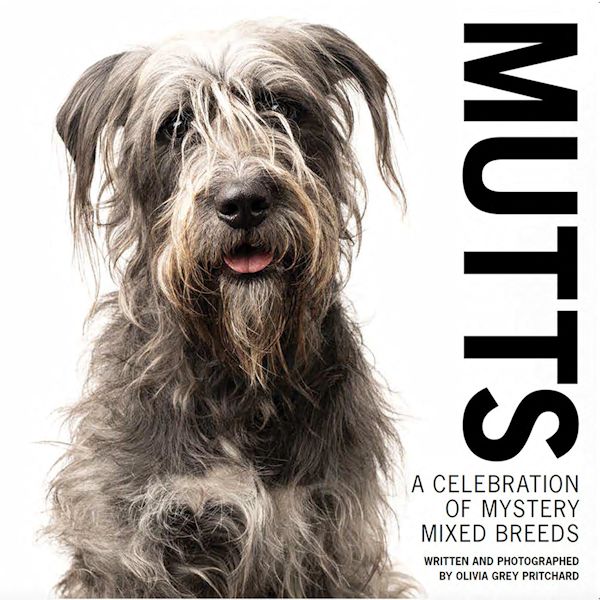 Product image for Mutts: A Celebration of Mixed Breeds