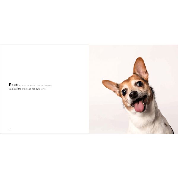 Product image for Mutts: A Celebration of Mixed Breeds