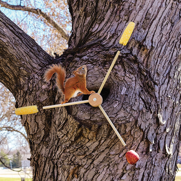 Product image for Squirrel-a-Whirl