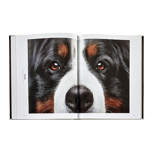 Good Dog Non-personalized Leatherbound Edition