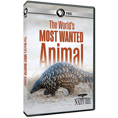 NATURE: The World's Most Wanted Animal DVD
