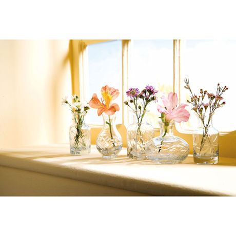 Petite Glass Vases Set: Clear Glass Set