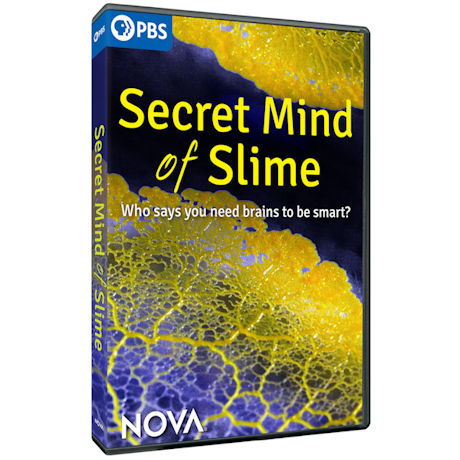 NOVA: Secret Mind of Slime DVD