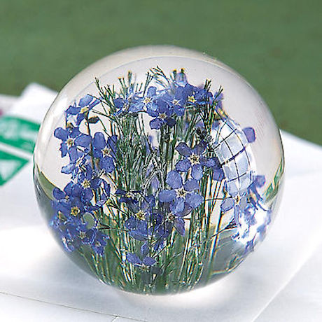 Forget-Me-Not Paperweight